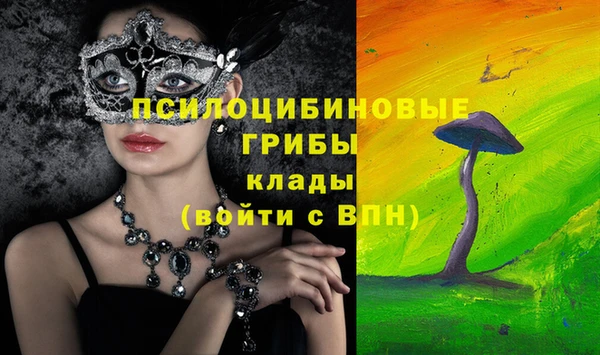 круглые Белокуриха