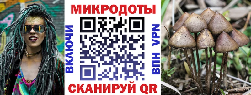 Псилоцибиновые грибы мухоморы  где продают наркотики  omg ONION  Вязьма 