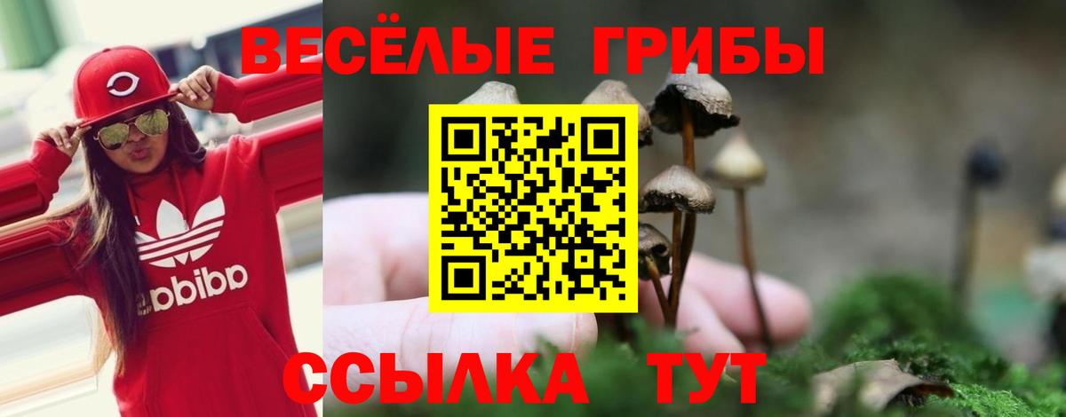 Галлюциногенные грибы Magic Shrooms Вязьма